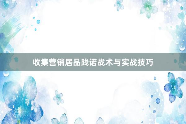 收集营销居品践诺战术与实战技巧